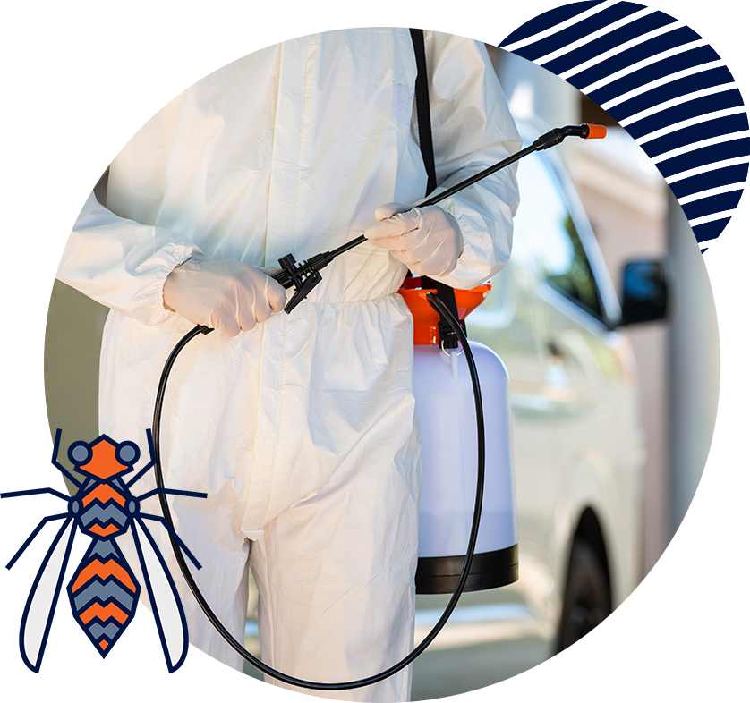 Professional Pest Management in Tyler, TX